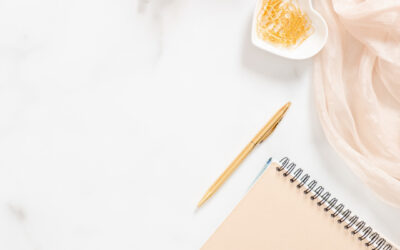 Lait&rsquo;tre 16 novembre 2022