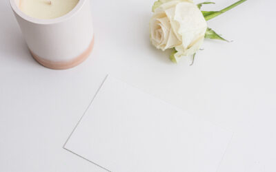 Lait&rsquo;tre 1 novembre 2022