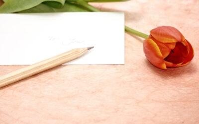 Lait&rsquo;tre 7 Octobre 2022