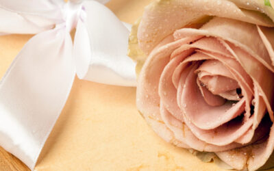 Lait’tre 22 Octobre 2022