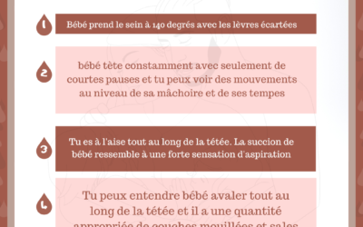 4 signes d’un bon transfert de lait !