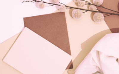 Lait&rsquo;tre 10 janvier 2023