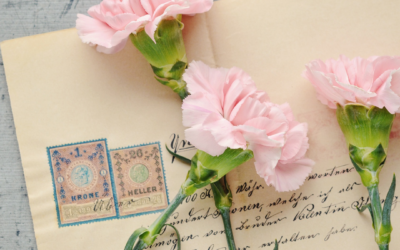 Lait&rsquo;tre 15 janvier 2023