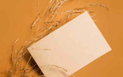 Lait&rsquo;tre 16 janvier 2023