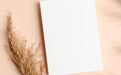 Lait&rsquo;tre 23 janvier 2023