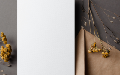 Lait&rsquo;tre 31 janvier 2023