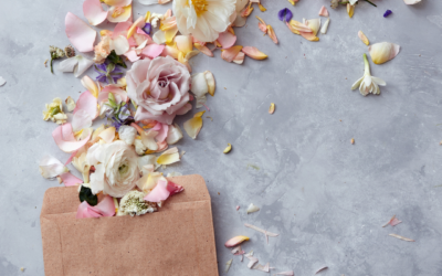 Lait’tre 29 janvier 2023