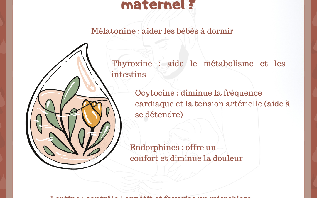quelles hormones dans le lait maternel