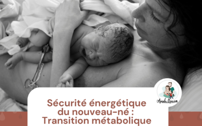 Sécurité énergétique du nouveau-né : la Transition Métabolique