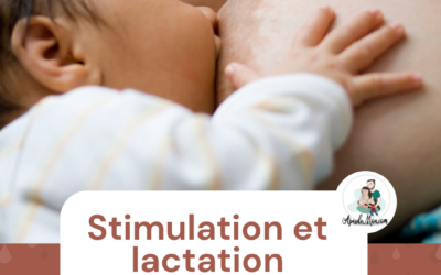 Stimulation de la lactation