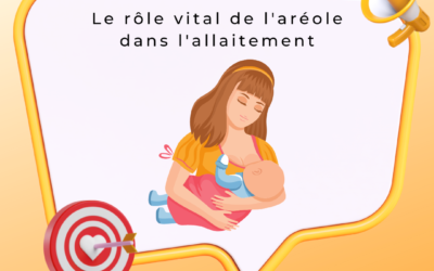 Le rôle vital de l’aréole dans l’allaitement