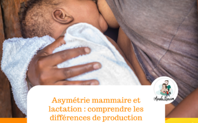 Asymétrie mammaire et lactation : comprendre les différences de production