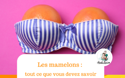 Les mamelons : tout ce que vous devez savoir