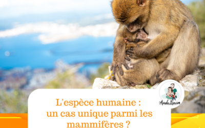 L’espèce humaine : un cas unique parmi les mammifères ?