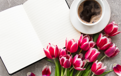 Lait&rsquo;tre 23 mars 2023