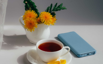 Lait&rsquo;tre 19 mars 2023