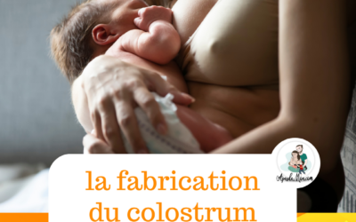 La fabrication du colostrum