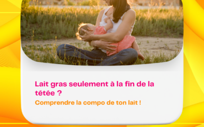 Lait gras : Comprendre la composition de ton lait